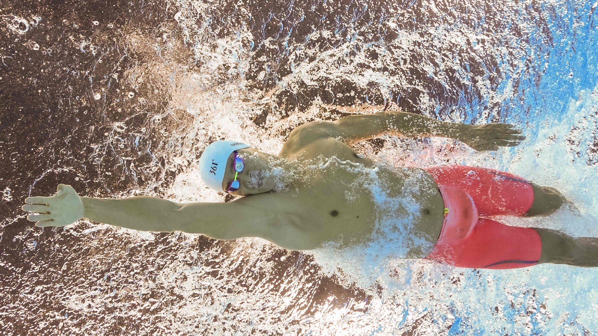 奥利维耶的锁链，当教科书表现冻结郁金香